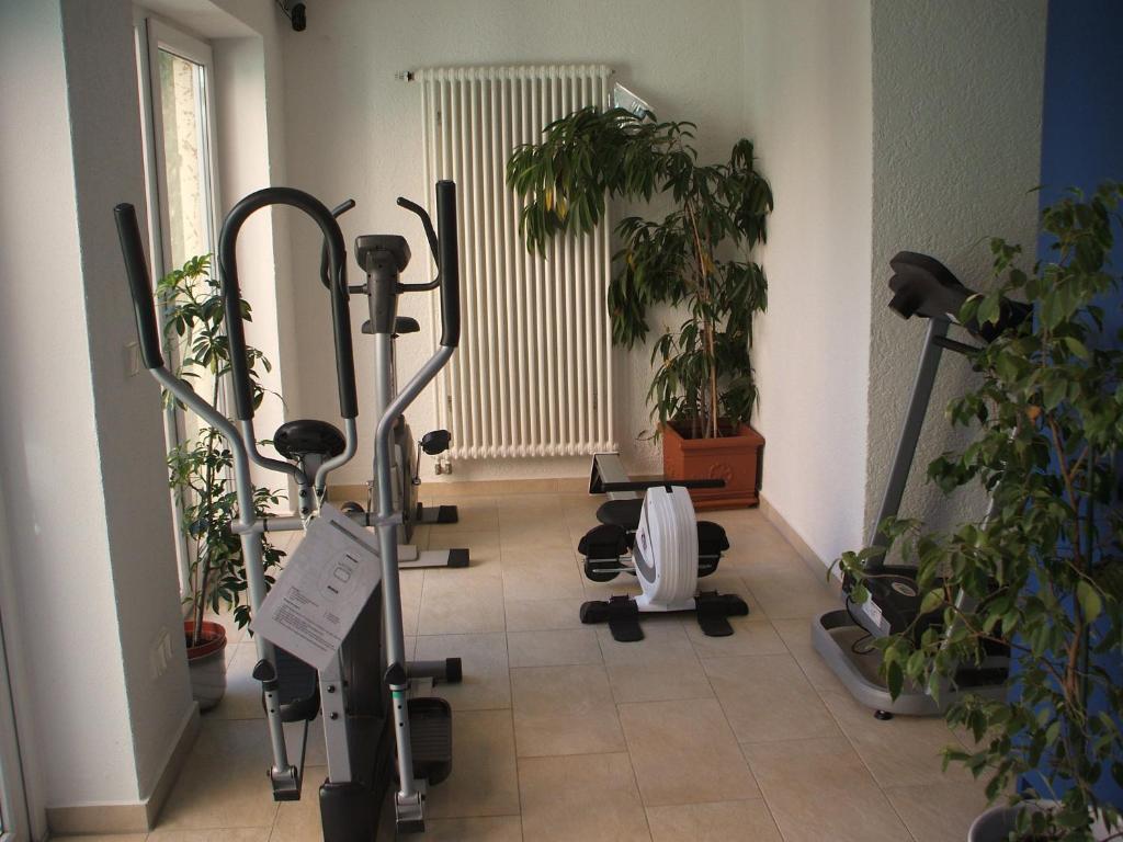 Hotel Apollo Garni 레겐스부르크 외부 사진
